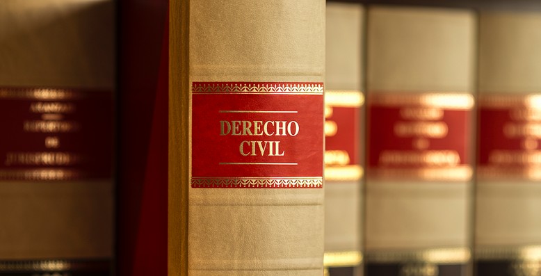 libro de derecho civil