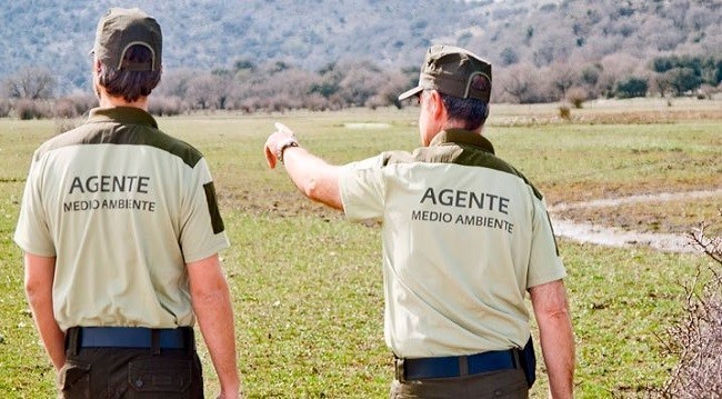 Funciones desempeñadas por un agente forestal