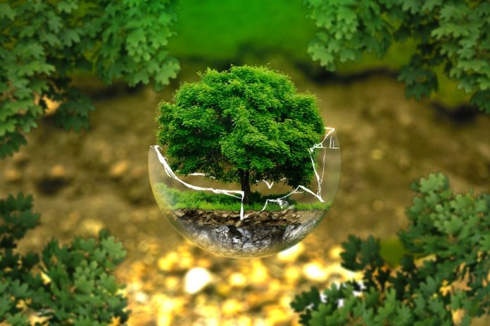cuidado de la naturaleza