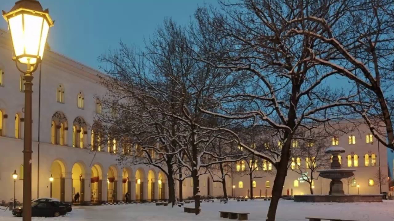 Universidad Ludwig-Maximilians