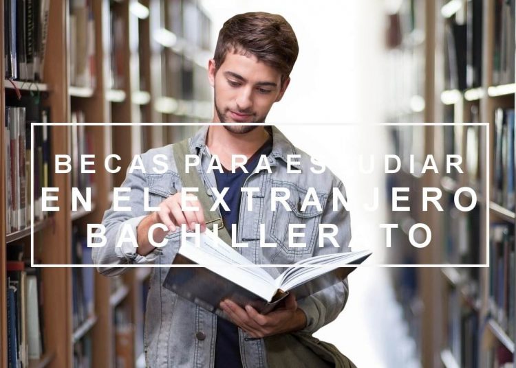 Becas Para Estudiar En Suiza 2020