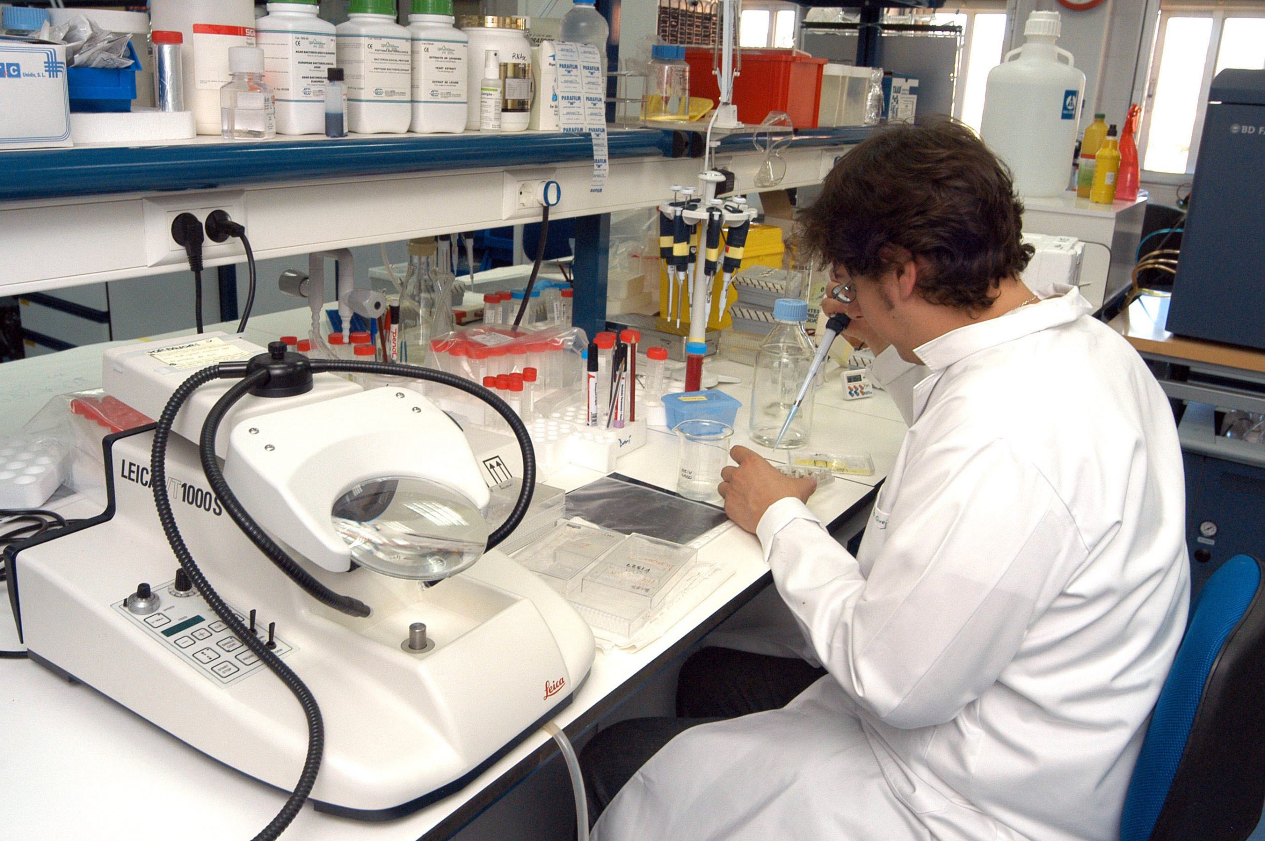 Ciencias Experimentales y de la Salud