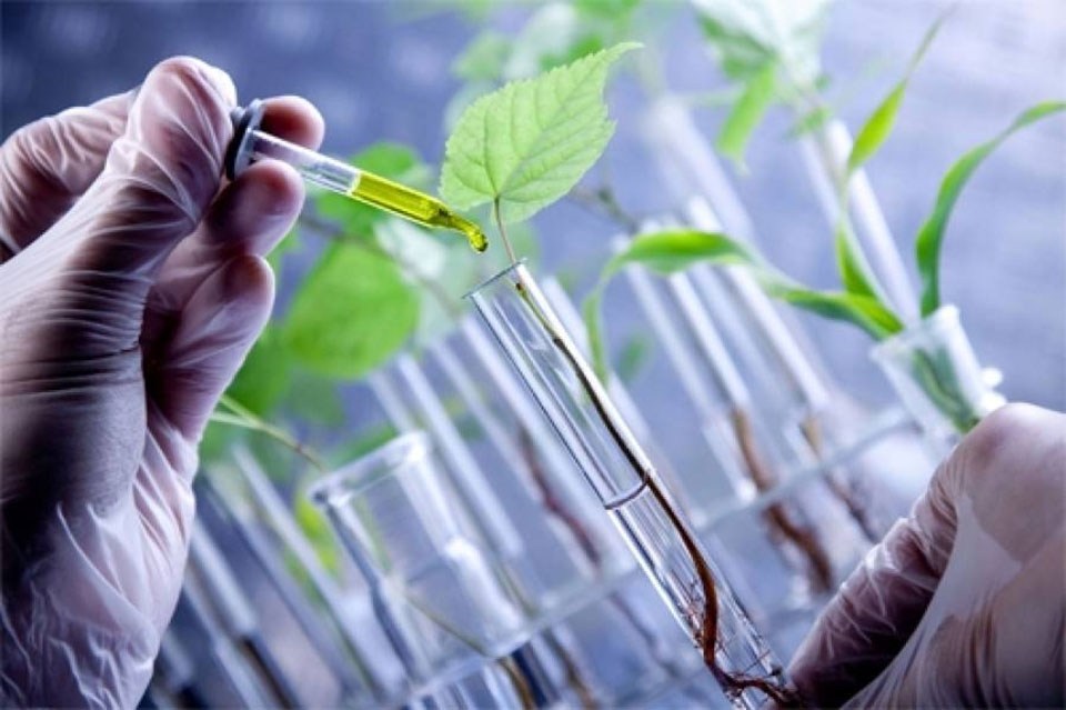 Aplicaciones de la biotecnología
