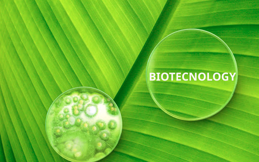 Salidas profesionales de la biotecnología