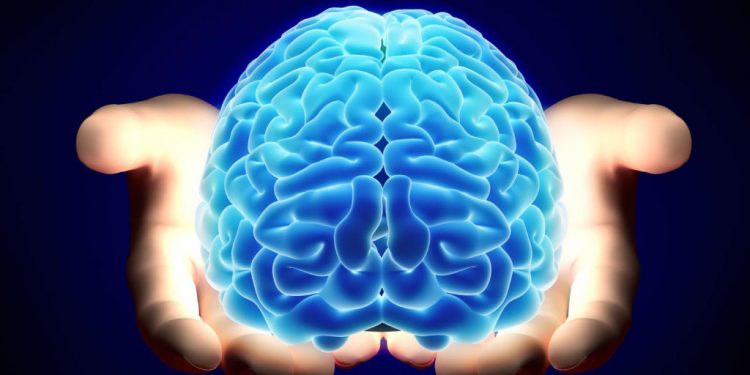 Cómo ser neuropsicólogo en España