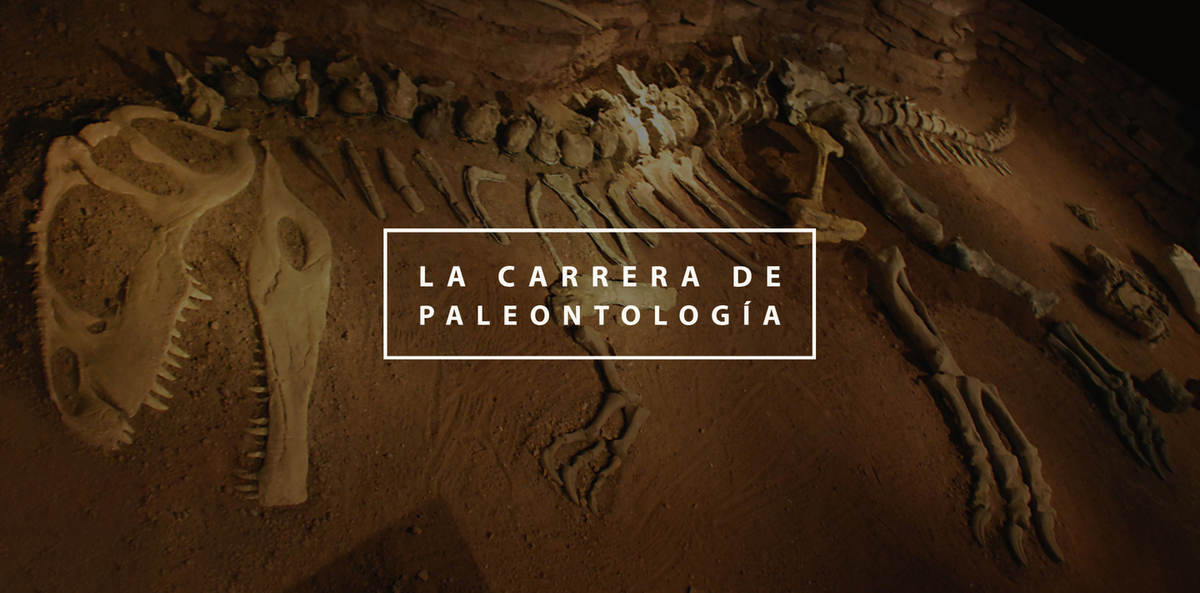 Estudiar Carrera de Paleontología Guía 2023 - ImpulsaT
