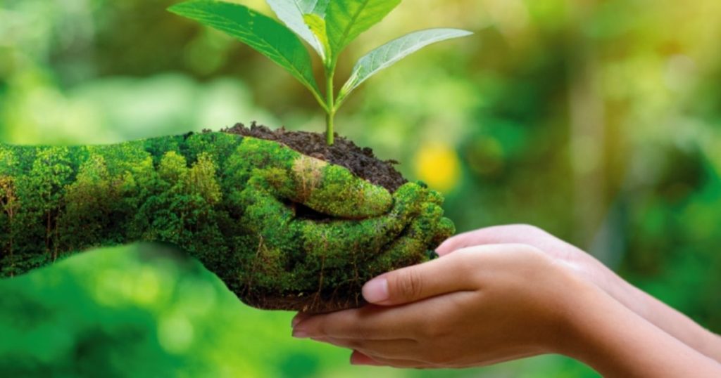 Estudiar Ciencias Ambientales en 2023 Pros