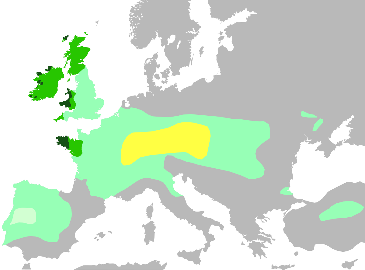 los celtas, mapa