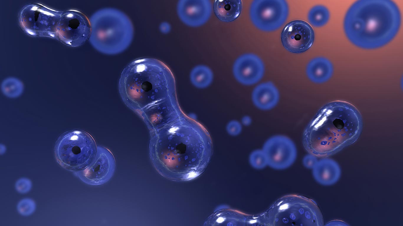 La división y el crecimiento de las células: Mitosis y Meiosis