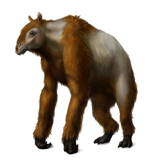 Anisodon