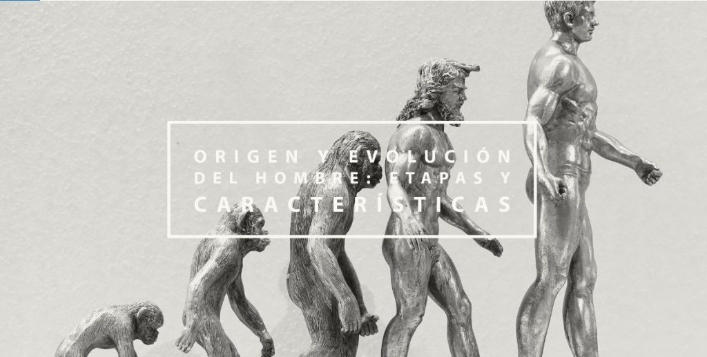 Origen y evolución del hombre: Etapas y características