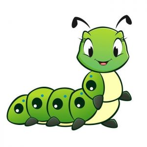 oruga