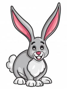 conejo