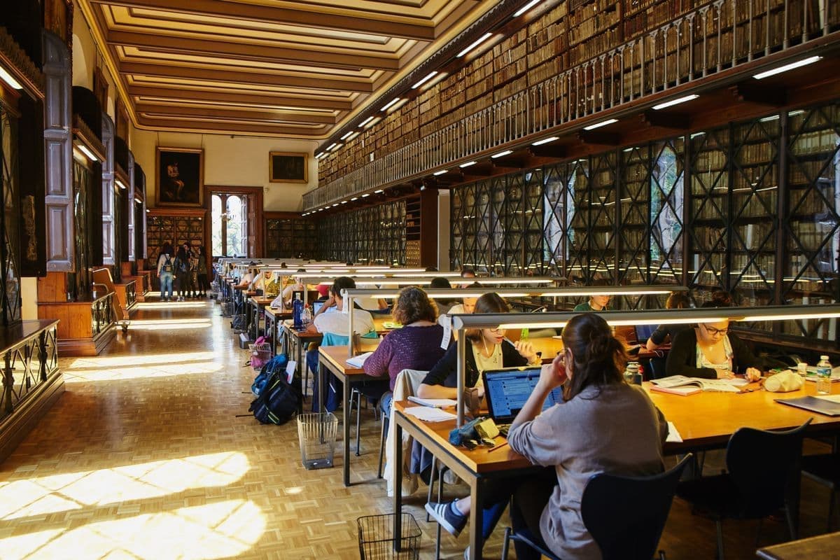 niveles del sistema educativo español