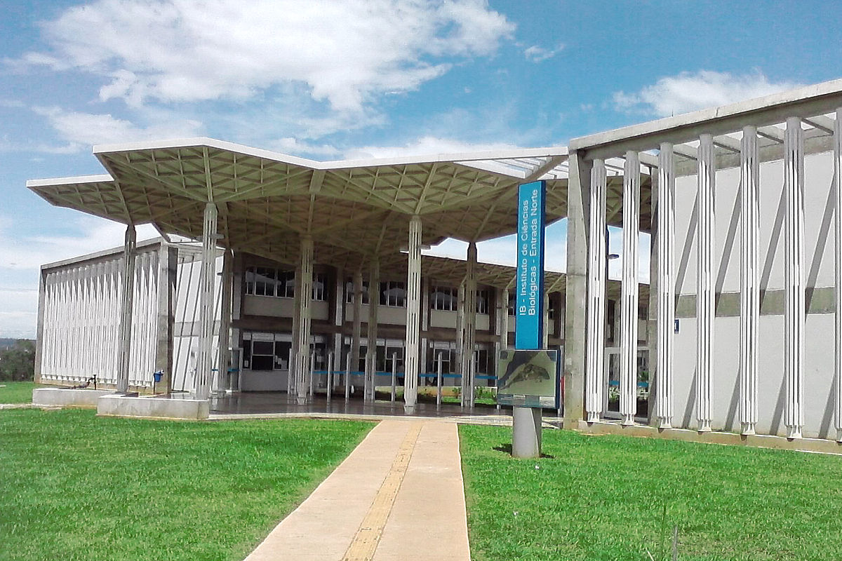 universidad de brasilia