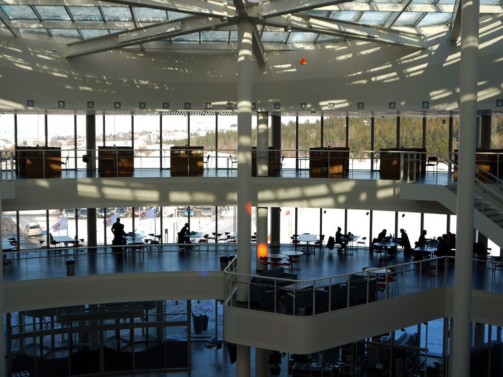 universidad de reikiavik