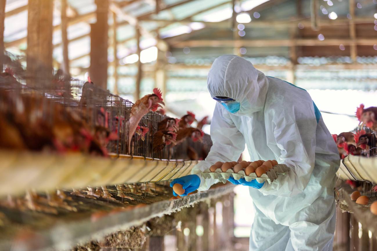 seguridad alimentaria
